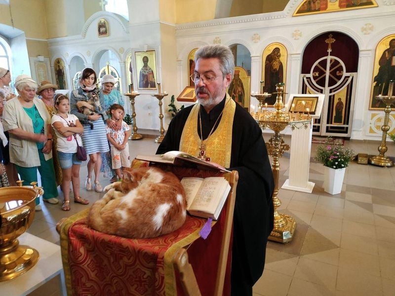 Может ли кошка находиться в храме?